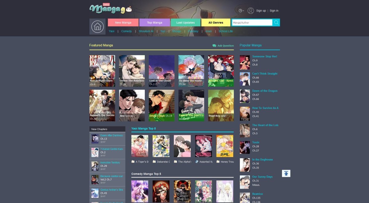 Website screen preview